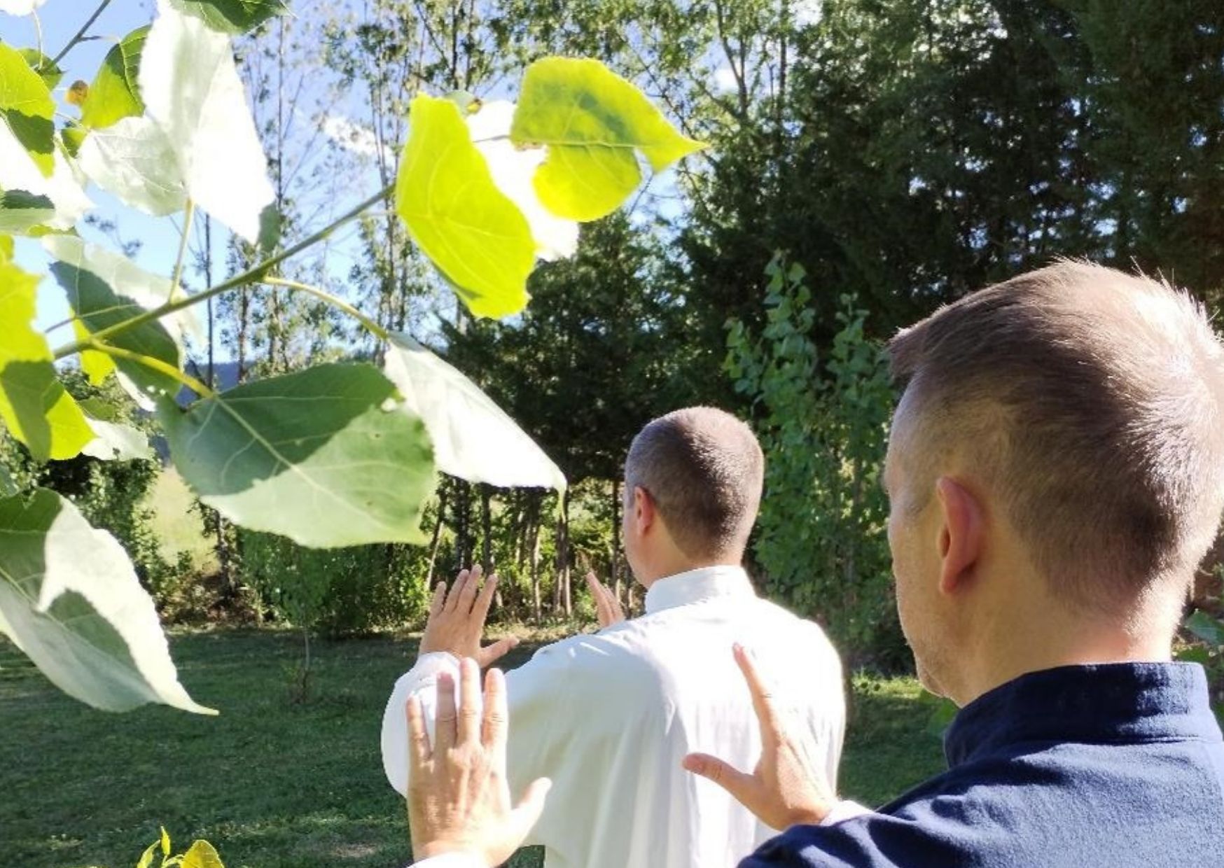 qigong online