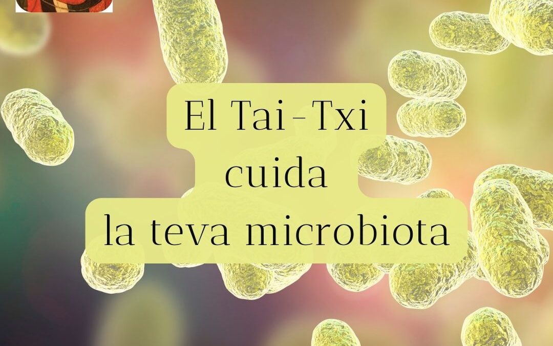 Article Tai-Txi i Microbiota Intestinal
