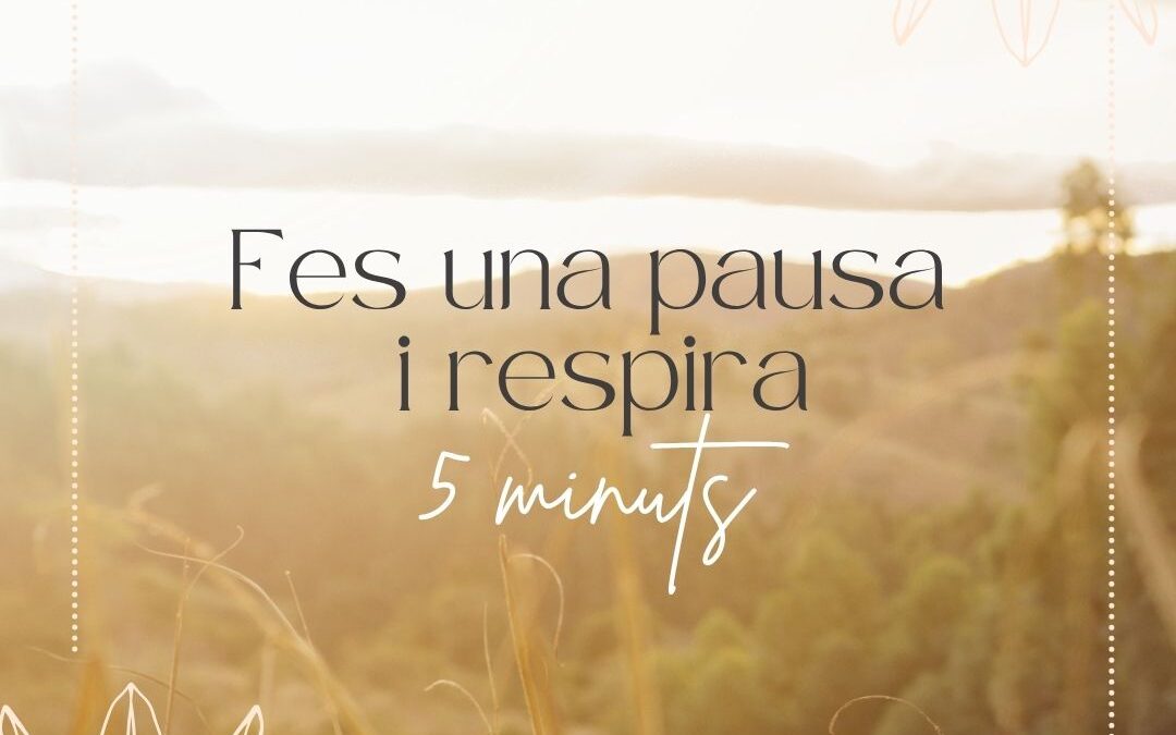 El Poder de la Pausa