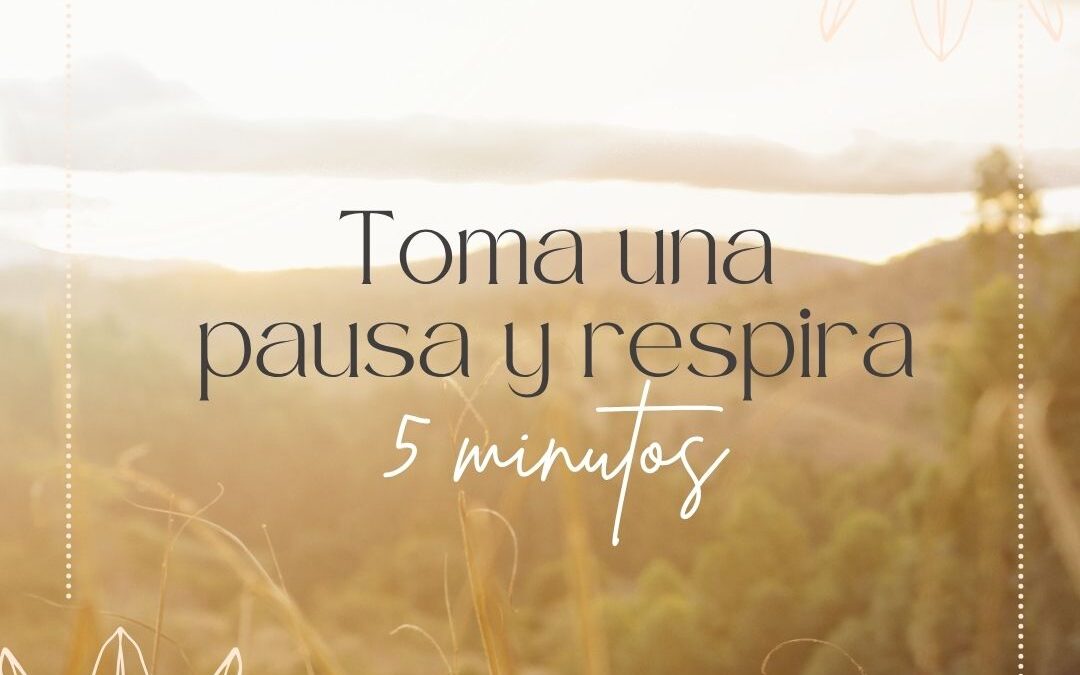 El poder de la Pausa