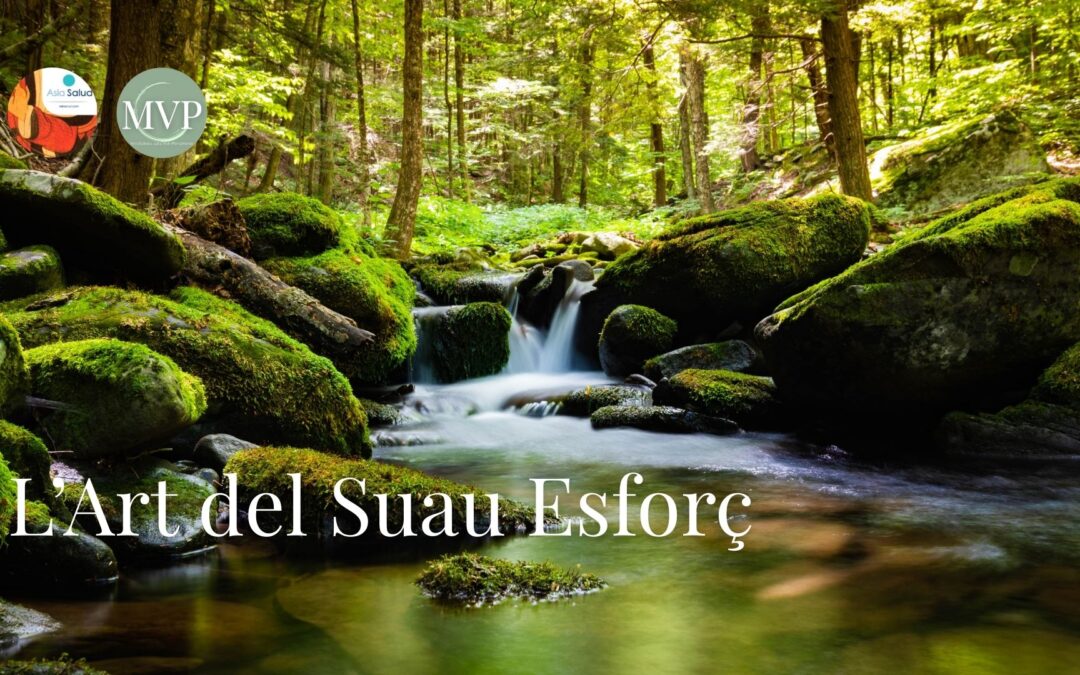 L’Art del Suau Esforç