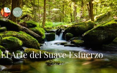 El Arte del Suave Esfuerzo